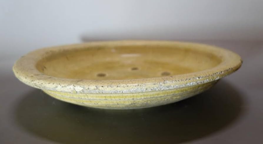 鉢■古瀬戸自然釉浅鉢 緑釉薬 菓子鉢 土物皿 料理鉢 古美術 時代物 骨董品■ 古美術 吉戸 - 漢緑釉小壷 | 古美術品専門サイト fufufufu.com